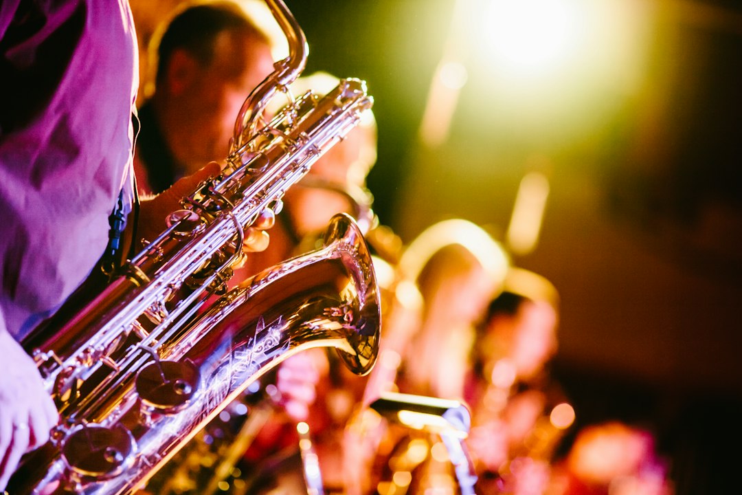 Concert et animation musicale pour événement